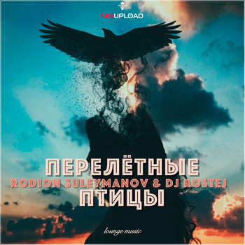 Rodion Suleymanov, DJ Rostej - Перелётные птицы