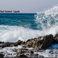Raul Techmal - Liquido