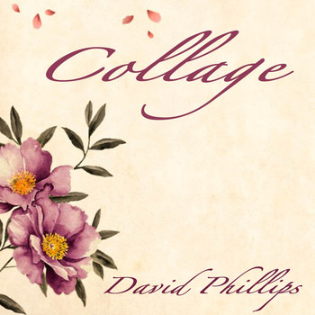 david phillips - Collage