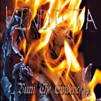 Vindicta - Burn the Evidence EP (Explicit)