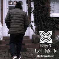 Nana D - Let Me In (Jay Picasso Remix)