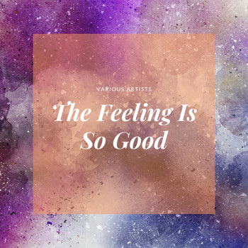 Various Artists - The Feeling Is So Good