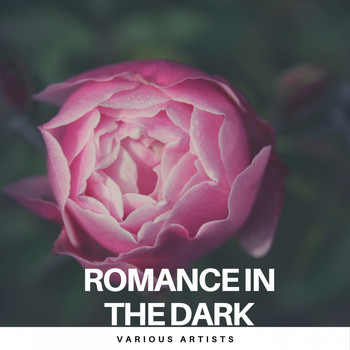 Various Artists - Romance in the Dark