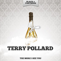 Terry Pollard - The More I See You