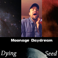 Dying Seed - Moonage Daydream