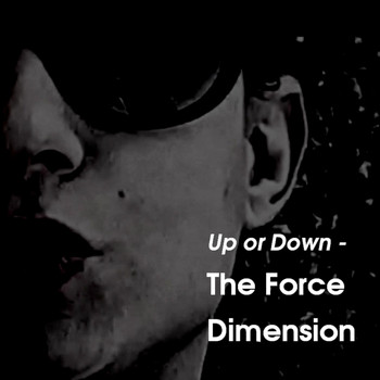 The Force Dimension - Up or Down