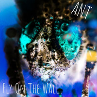 Ant - Fly on the Wall