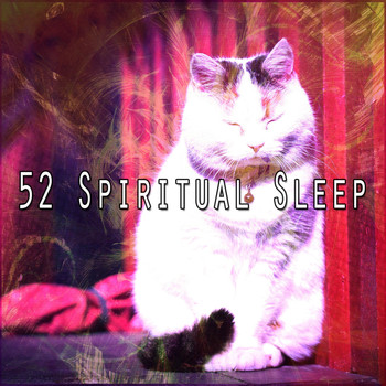 White Noise Babies - 52 Spiritual Sleep