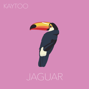 Kaytoo - Jaguar