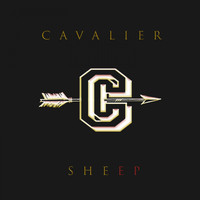 Cavalier - Sheep
