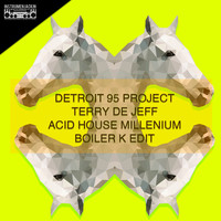 Detroit 95 Project, Terry De Jeff - Acid House Millenium (Boiler K Edit)