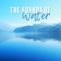 Calming Water Consort, Water Sounds, Soundscapes! - The Sounds of Water: Sea, Ocean and Rain Soundscapes with New Age Music