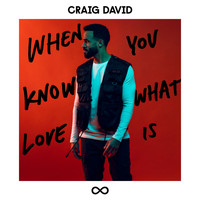 Craig David - When You Know What Love Is