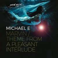 Michael e - Marvin / Theme from a Pleasant Interlude