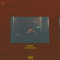 Sleepy - For the Vibe (Explicit)