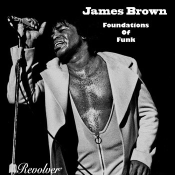 James Brown - Foundations Of Funk