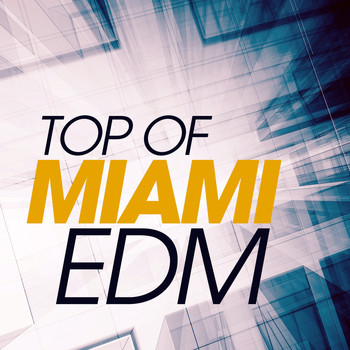 Various Artists - Top of Miami Edm
