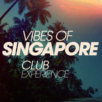 Various Artists - Vibes of Singapore Club Experience