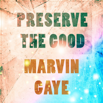 Marvin Gaye - Preserve The Good