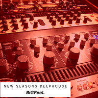 BiGFeeL - New Seasons Deephouse
