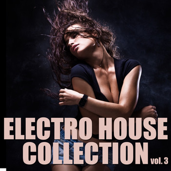Various Artists - Electro House Collection, Vol. 3