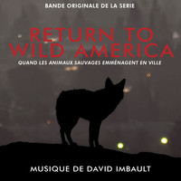 David Imbault - Return to Wild America, quand les animaux sauvages emménagent en ville (Bande originale de la série)