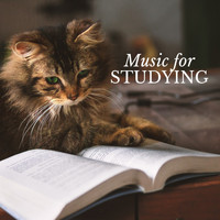 Various Composers - Classical Music for Studying & Brain Power