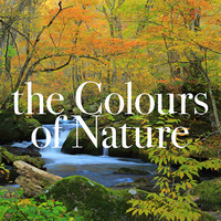 Filippo Manni - The Colours of Nature (An Inspirational Compilation)