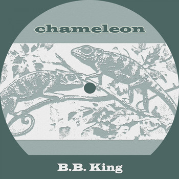 B.B. King - Chameleon