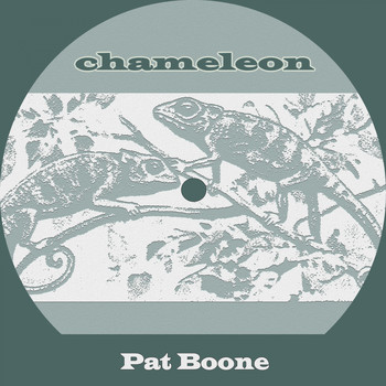 Pat Boone - Chameleon