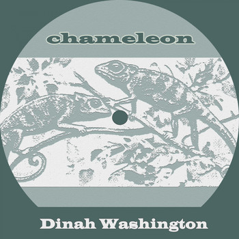 Dinah Washington - Chameleon