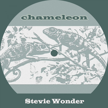 Stevie Wonder - Chameleon