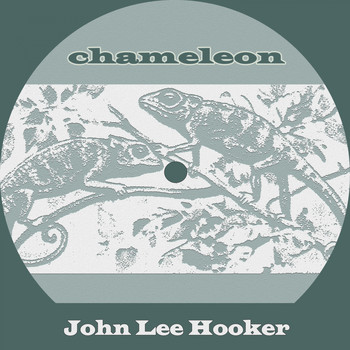 John Lee Hooker - Chameleon