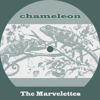 The Marvelettes - Chameleon