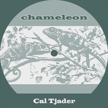 Cal Tjader - Chameleon