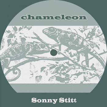 Various Artists - Chameleon