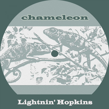 Lightnin' Hopkins - Chameleon