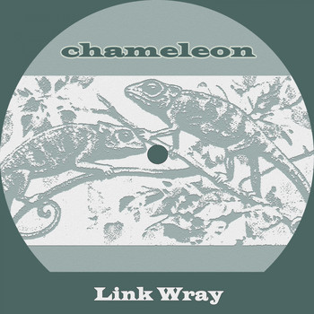 Link Wray - Chameleon