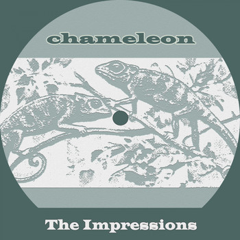 The Impressions - Chameleon