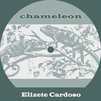 Elizete Cardoso - Chameleon