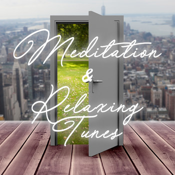 Various Artists - Meditation and Relaxing Tunes