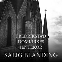 Fredrikstad Domkirkes Jentekor - Salig blanding