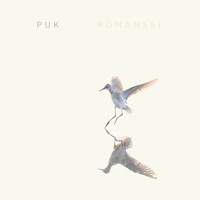 Puk - Romanssi
