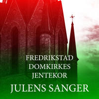 Fredrikstad Domkirkes Jentekor - Julens Sanger