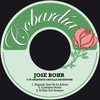 Jose Bohr Y Su Orquesta Criolla Argentina - Diganle Que Yo la Adoro