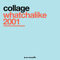 Collage - Whatchalike 2001