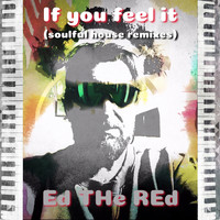 Ed the Red - If You Feel It (Soulful House Remixes)
