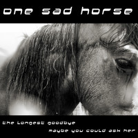 One Sad Horse - The Longest Goodbye