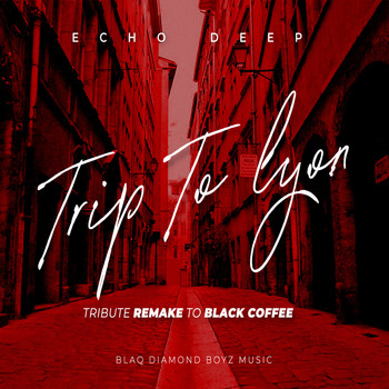 Echo Deep - TRIP TO LYON (Tribute Remake To Black Coffee)