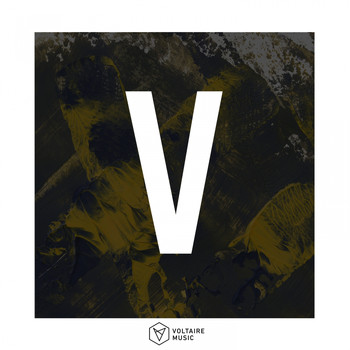 Various Artists - Voltaire Music pres. V